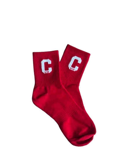 Covered ('lno) C with Hebrew logo Socks